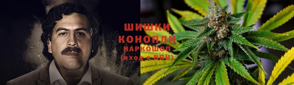 MESCALINE Белокуриха