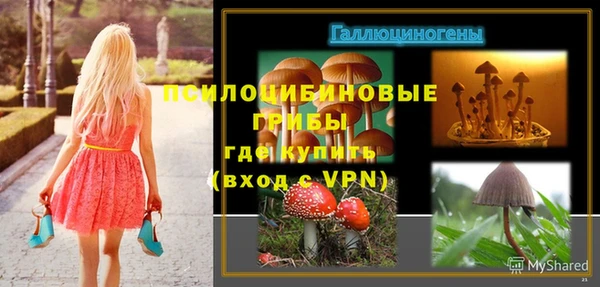 стафф Беломорск