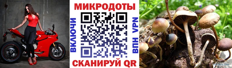 Псилоцибиновые грибы GOLDEN TEACHER  Губкинский 